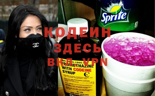 apvp Вяземский